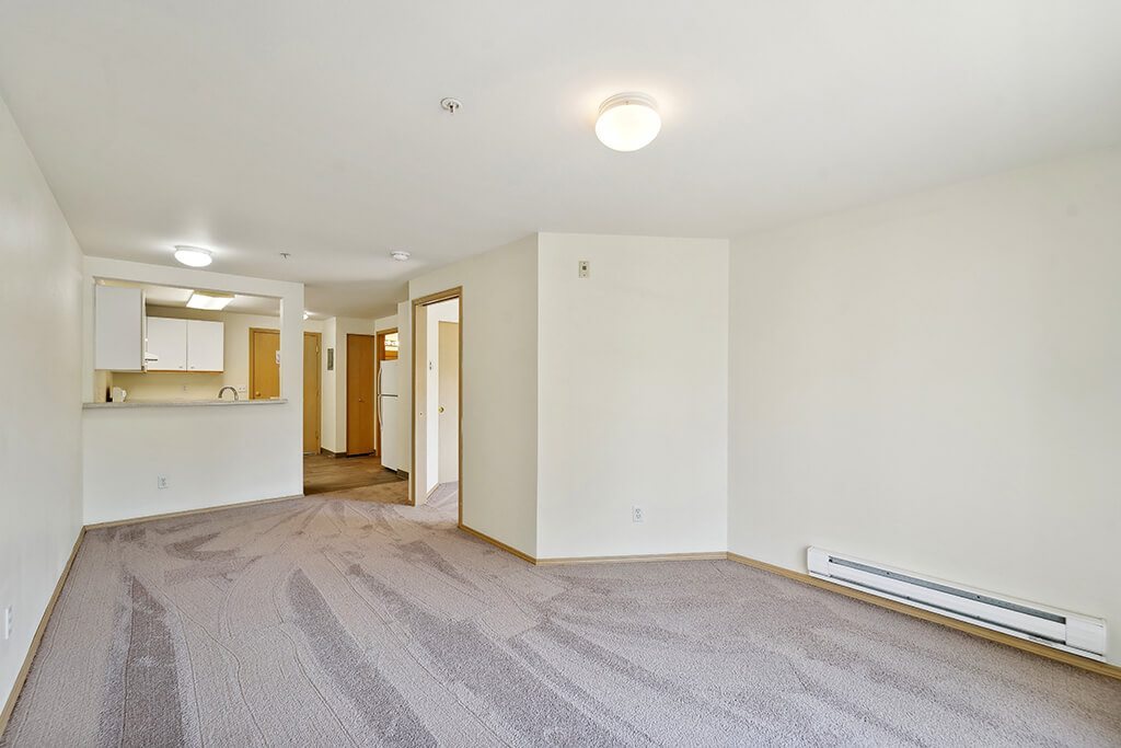 A carpeted room with a white wall and a door.